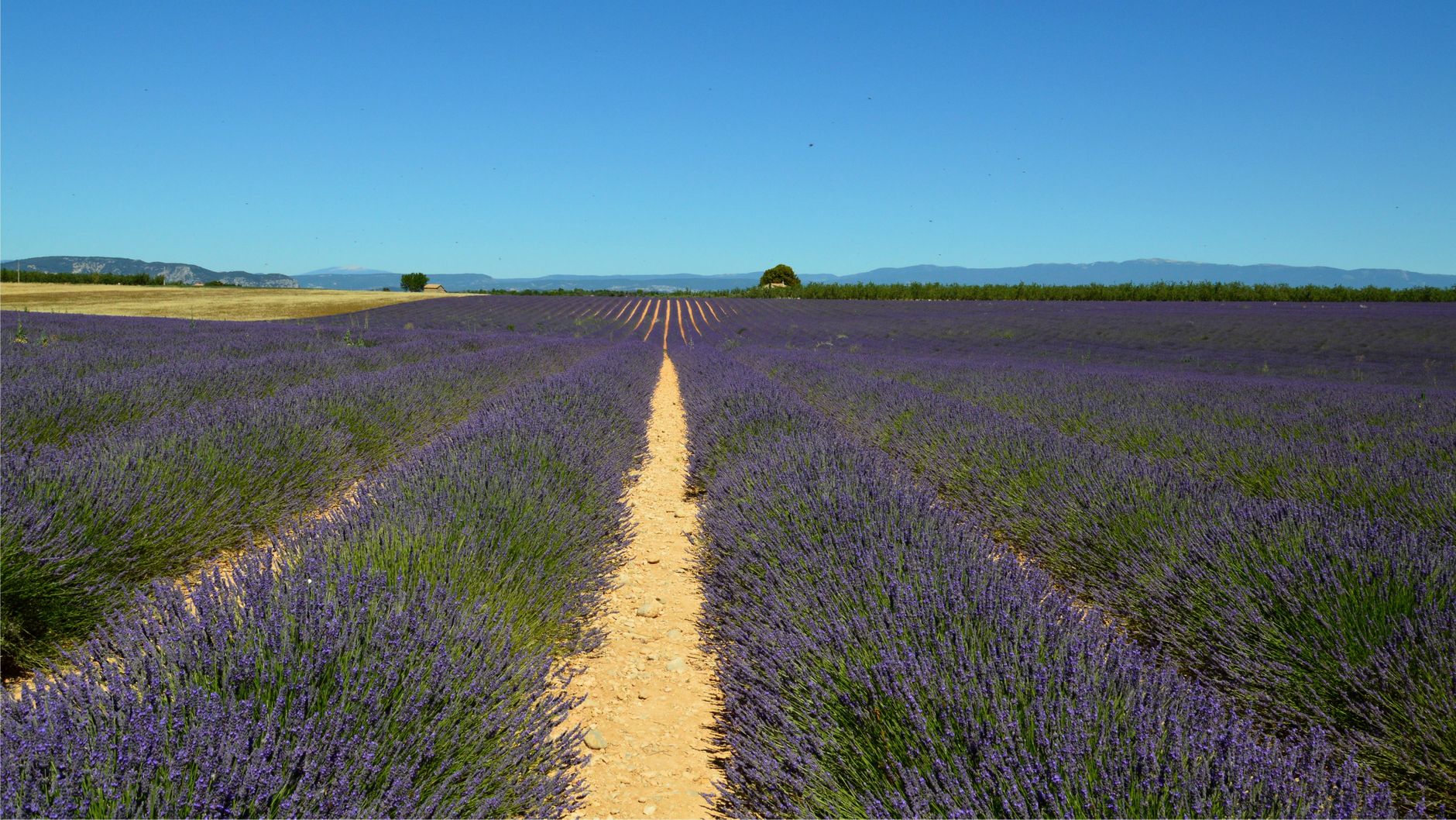 Provence gourmande