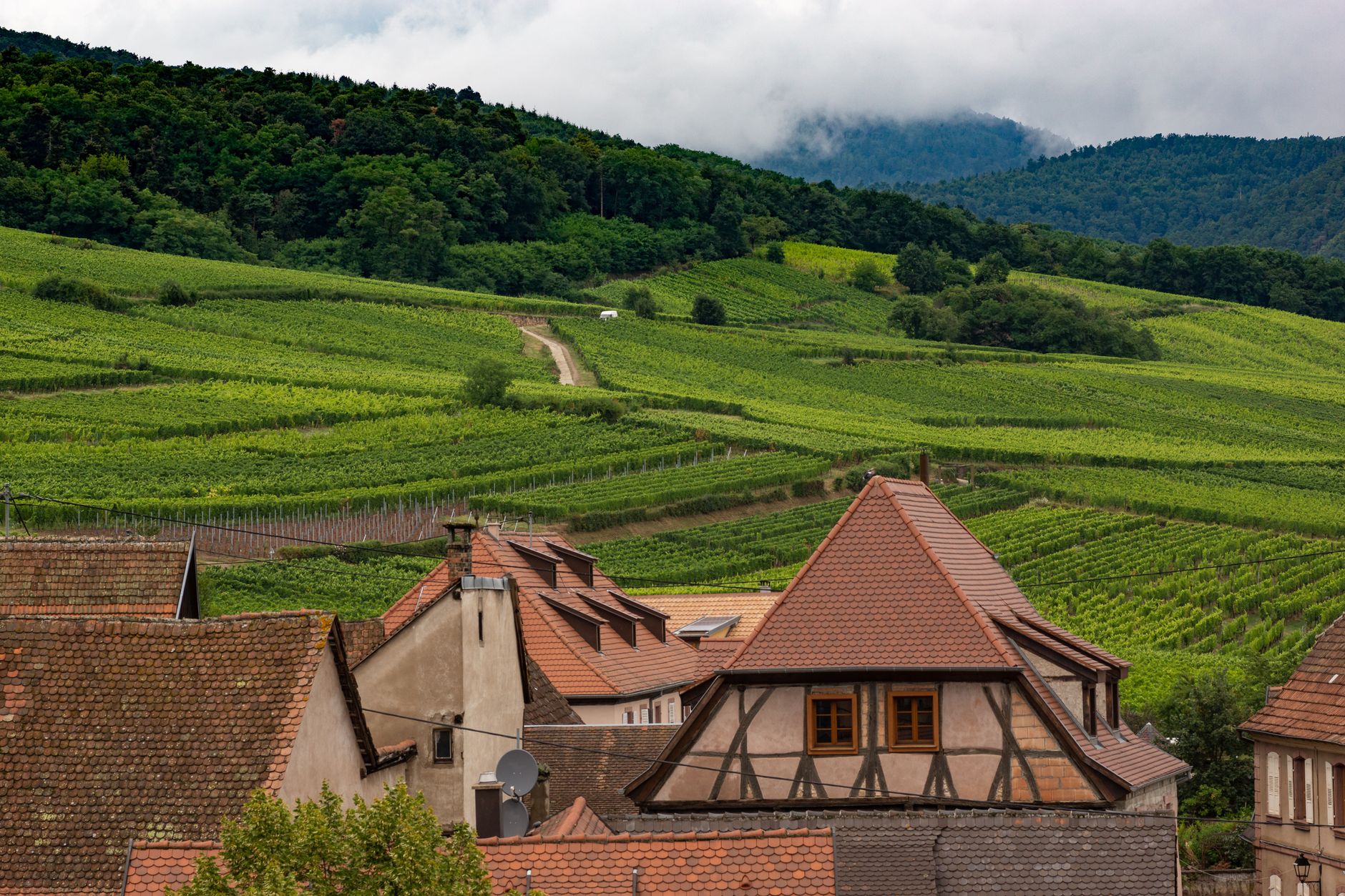 Alsace route des vins